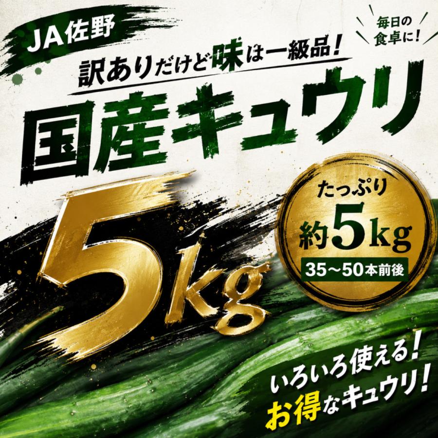 きゅうり 大量 5kg 酒のつまみに最高 不揃い 訳アリ キュウリ 約30から