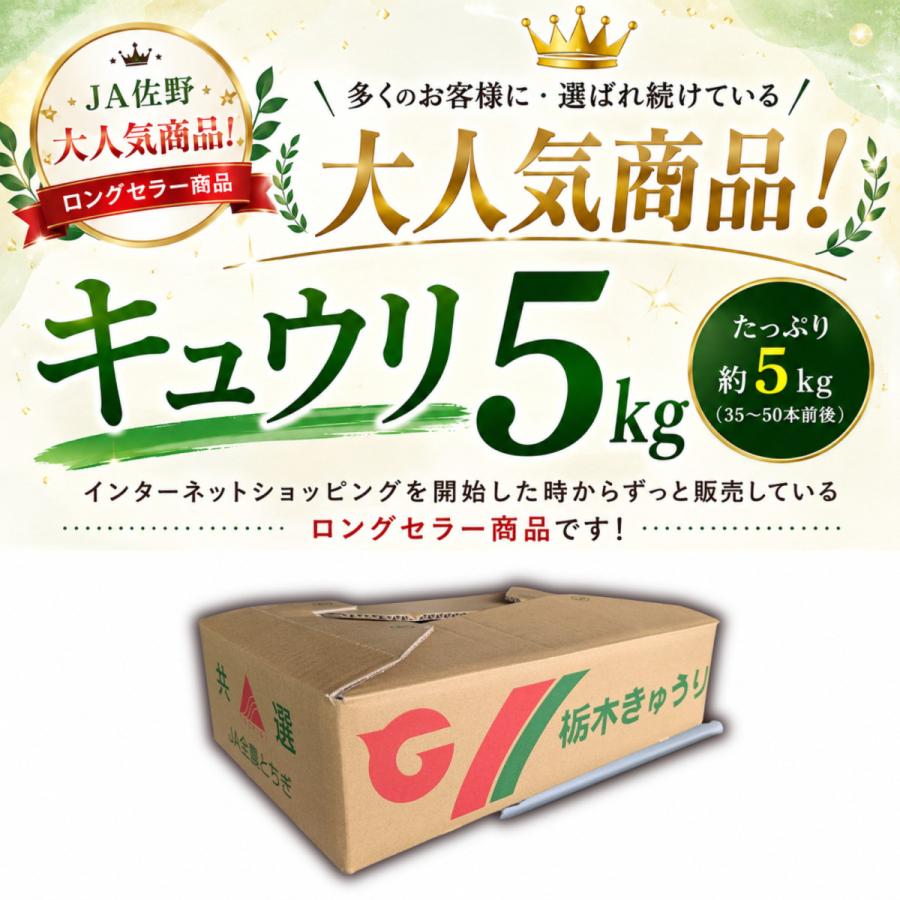 きゅうり 大量 5kg 酒のつまみに最高 不揃い 訳アリ キュウリ 約30から