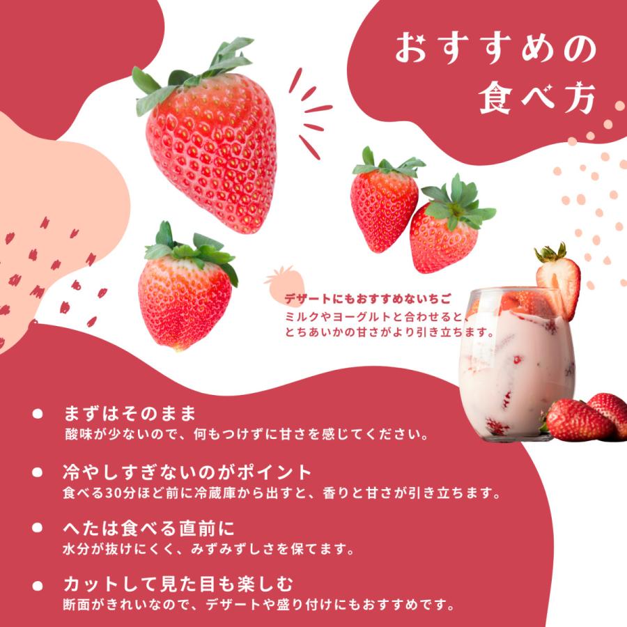 とちあいか 合計約560g 栃木県産 苺 冷蔵便 いちご イチゴ ギフト