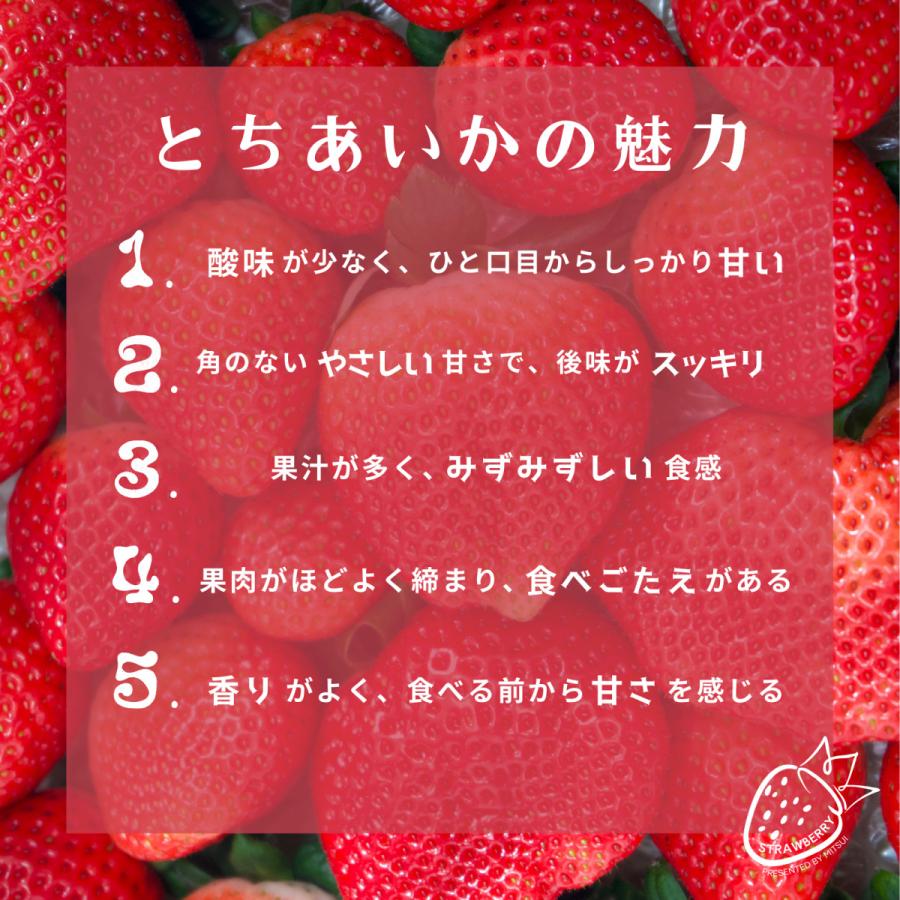 栃木県産 とちあいか たっぷり約900g 苺 いちご イチゴ 家庭用 お洒落