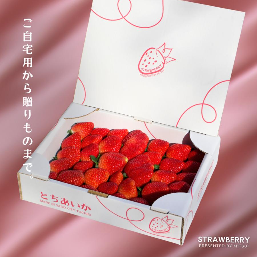 栃木県産 とちあいか たっぷり約900g 苺 いちご イチゴ 家庭用 お洒落