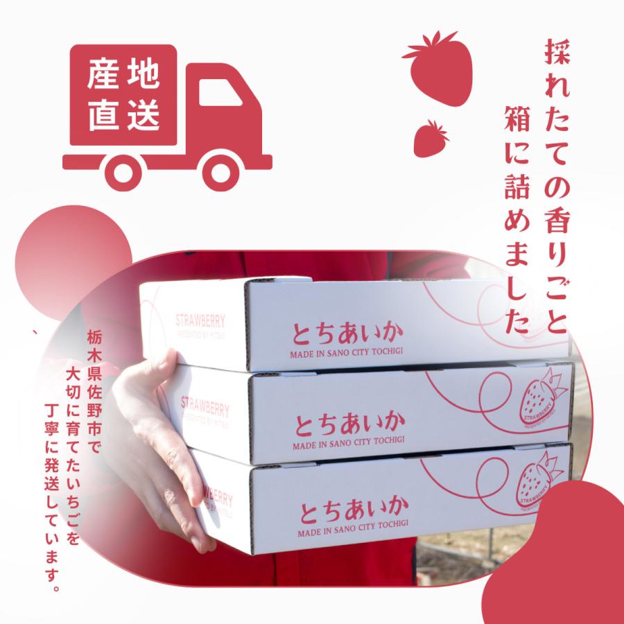 栃木県産 とちあいか たっぷり約900g 苺 いちご イチゴ 家庭用 お洒落