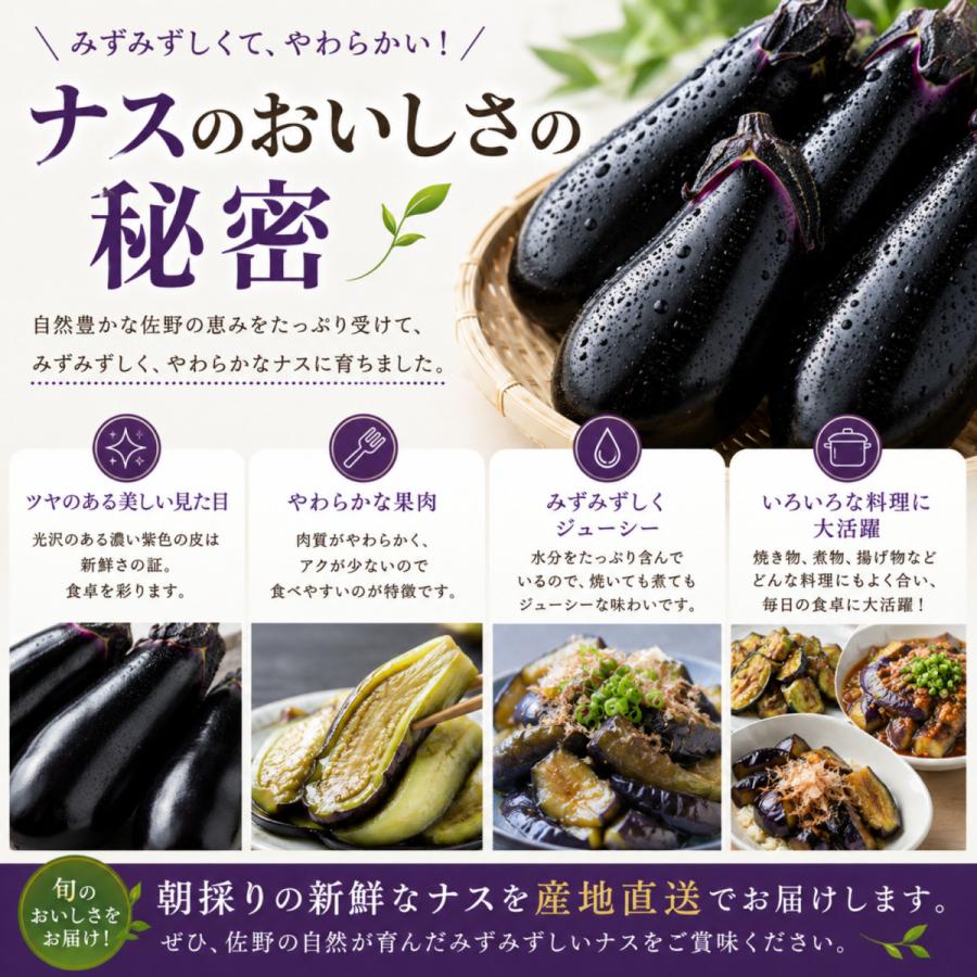 採れたて新鮮ナス！バラ60本詰合せセット 栃木県産 茄子 ナスビ ナス