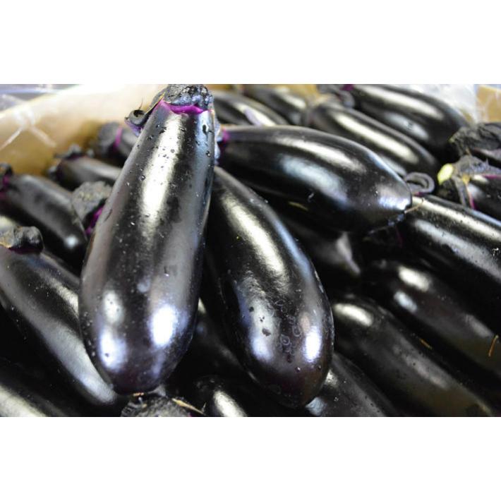 採れたて新鮮ナス！バラ60本詰合せセット 栃木県産 茄子 ナスビ ナス