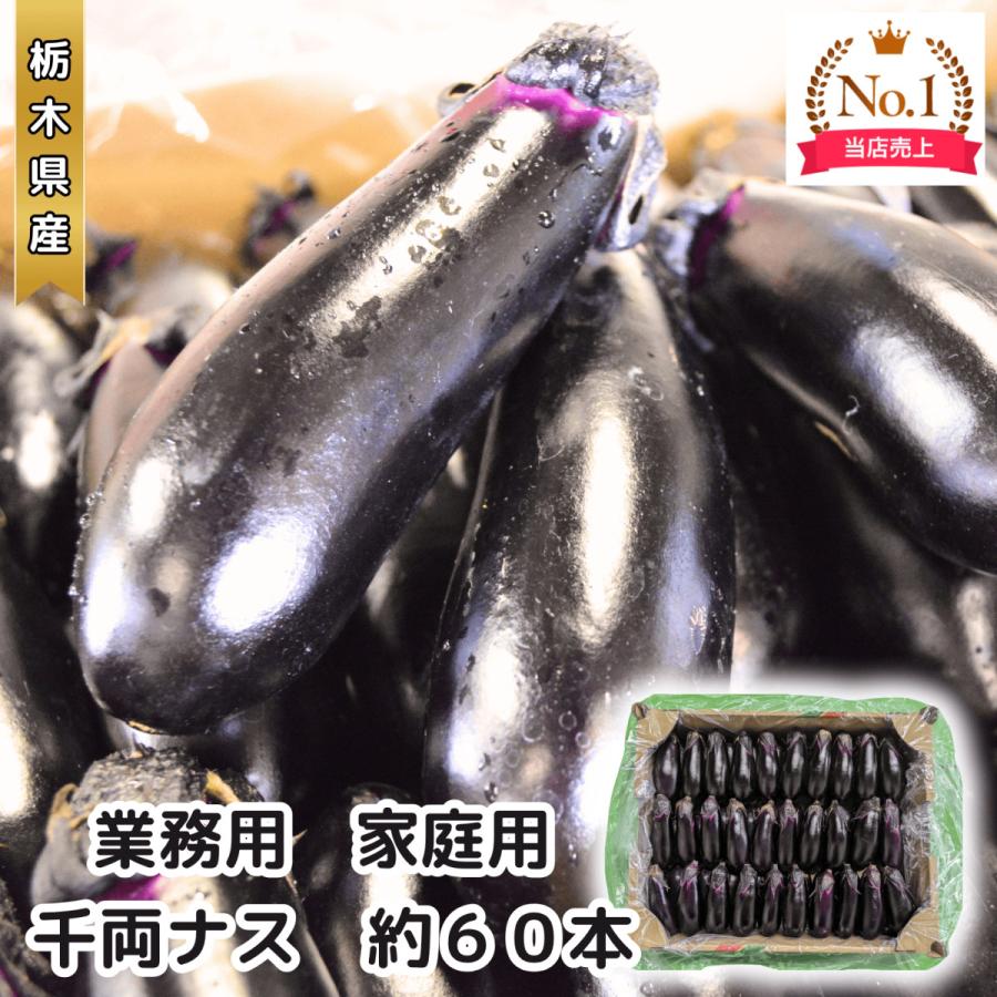 採れたて新鮮ナス！バラ60本詰合せセット 栃木県産 茄子 ナスビ ナス