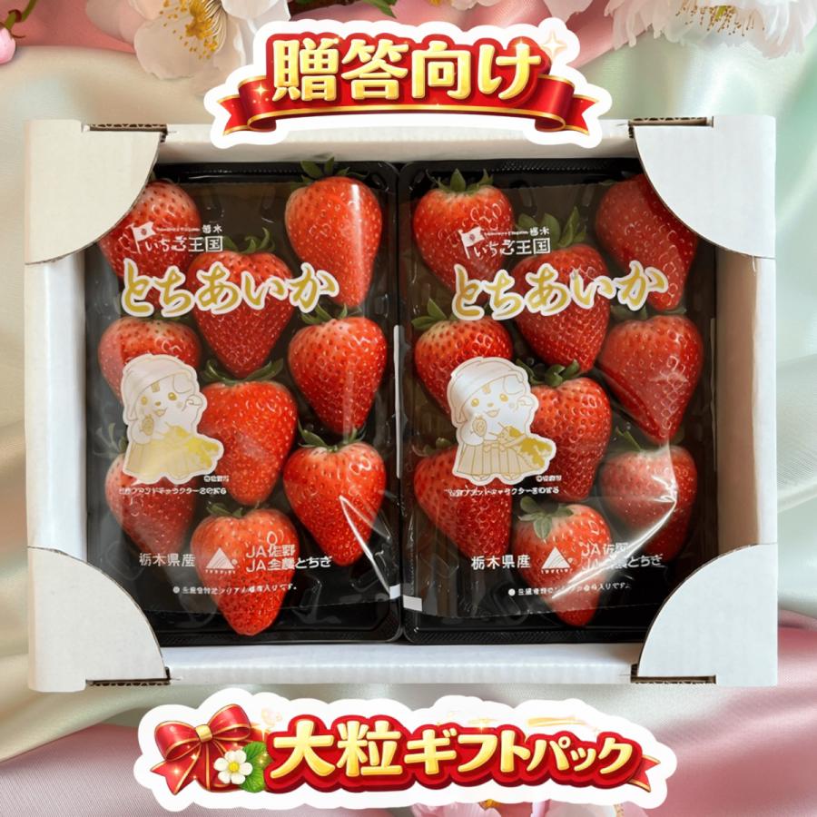 苺家みよし 厳選いちご とちあいか 大粒ギフトパック 1パック9粒×2