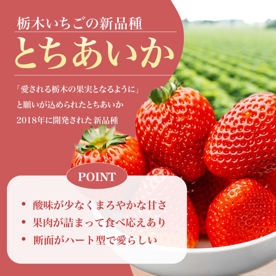 苺家みよし 厳選いちご とちあいか 大粒ギフトパック 1パック9粒×2