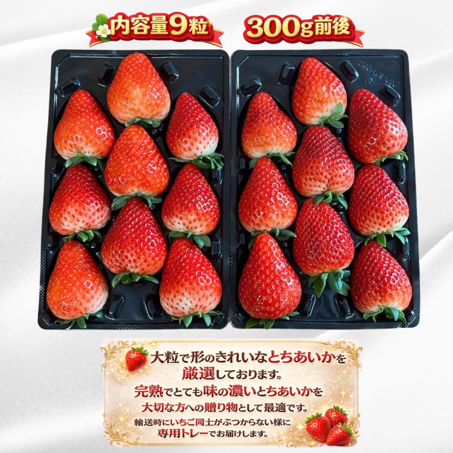 苺家みよし 厳選いちご とちあいか 大粒ギフトパック 1パック9粒×2