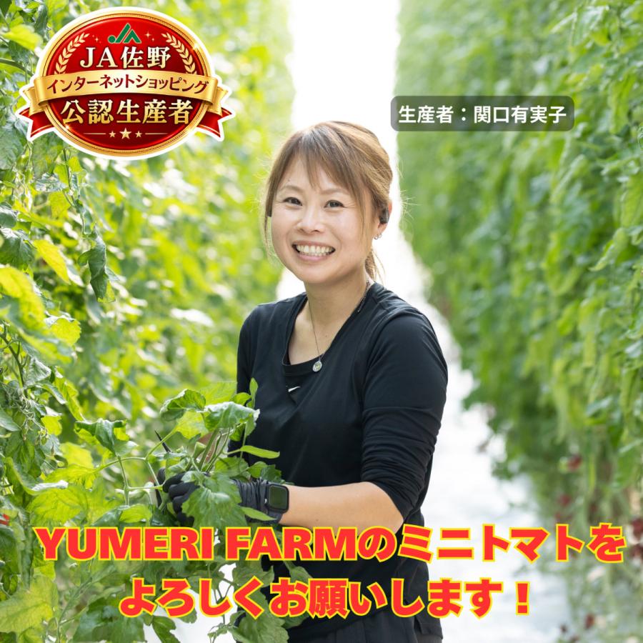 13種 化粧箱 カラフルミニトマト 彩り豊かなミニトマト 1.2kg 送料無料 新鮮なミニナス19キロ