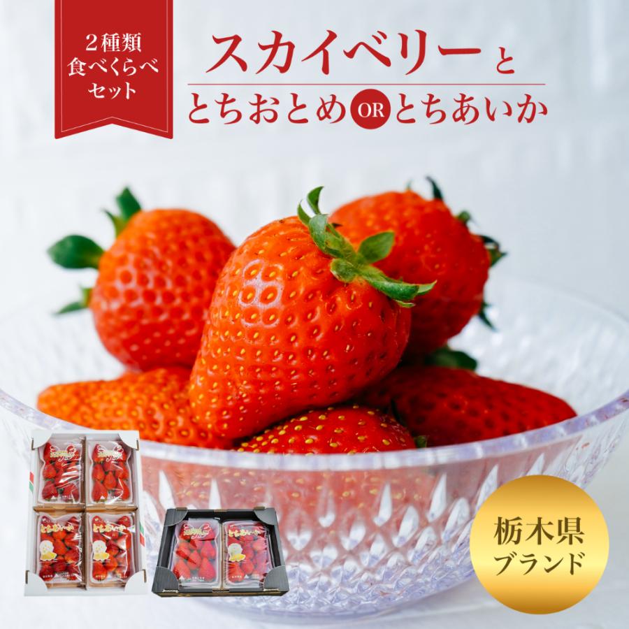 3480円〜更にクーポンで300円オフ】いちご 食べ比べ スカイベリー