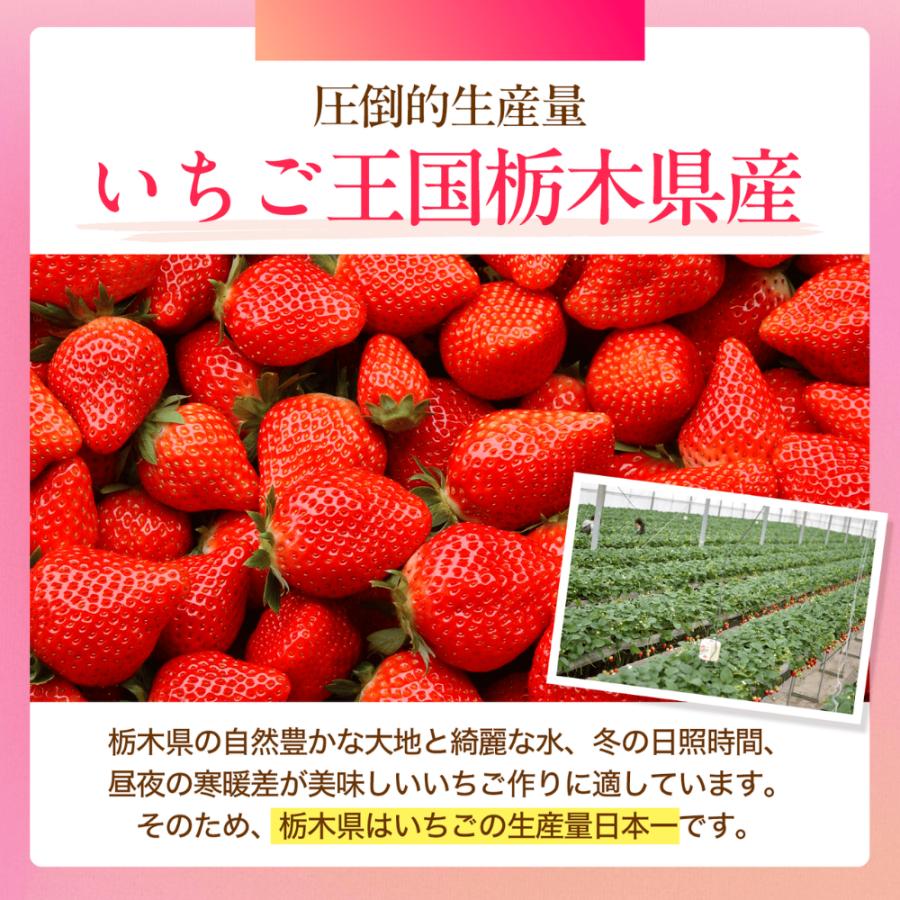 3480円〜更にクーポンで300円オフ】いちご 食べ比べ スカイベリー