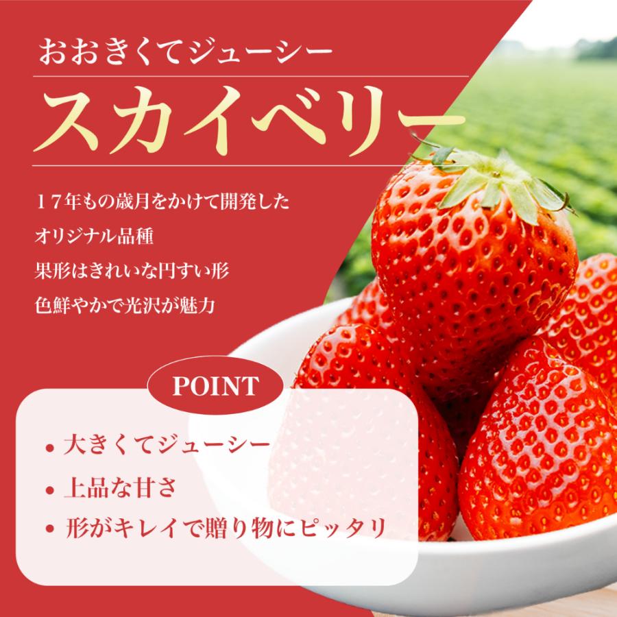 値引きセール③と⑤✨️栃木県産とちあいか✨️Ｂ品2.4キロ✨️ とちあいか（2パック入）3箱 | 長谷川いちご園｜産直通販「あるよ