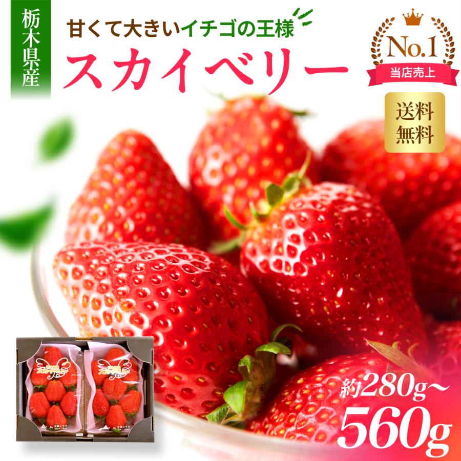 スカイベリー 2パック 約580g入り 栃木県産 イチゴ いちご 1パック7〜11粒 熨斗 送料無料 冷蔵便 苺 家庭用 ギフト 爆買