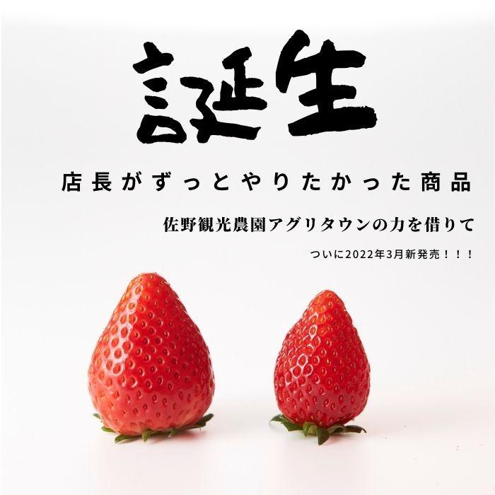 お好きな苺を4種類の中から選択 合計2パック 栃木県産 イチゴ お好きな苺を4種類の中から選択 合計2パック 栃木県産 イチゴ