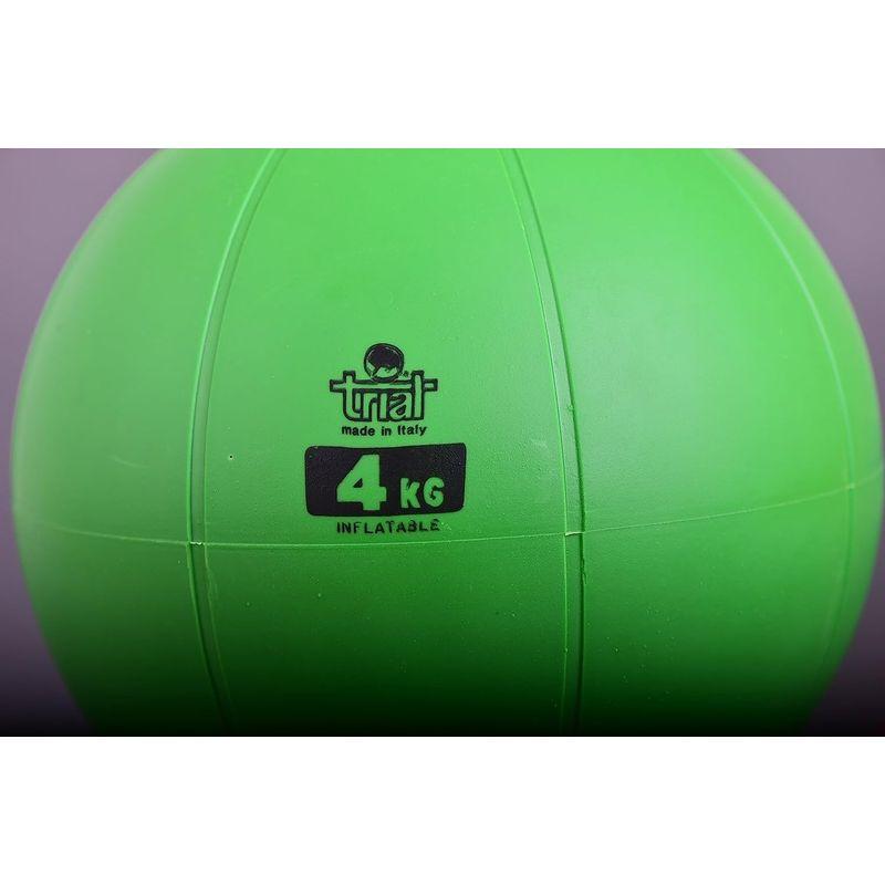 匿名！送料無料！ NISHI(ニシ・スポーツ) スウィングメディシンボール 4kg T5914 【2220406798】(11443円)