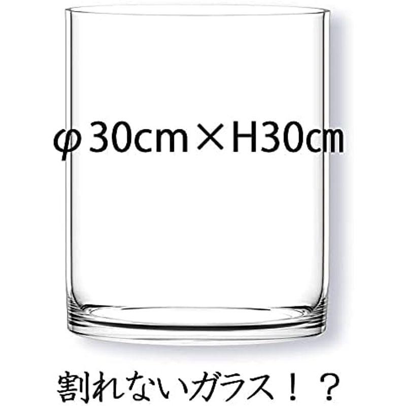 FOYER 割れない 花瓶 フラワーベース ポリカーボネート おしゃれ 高さ 30 cm 幅 30 cm 大きい 2300144 cm 割れない 花瓶 フラワーベース ポリカーボネート おしゃれ 高さ 幅 大きい