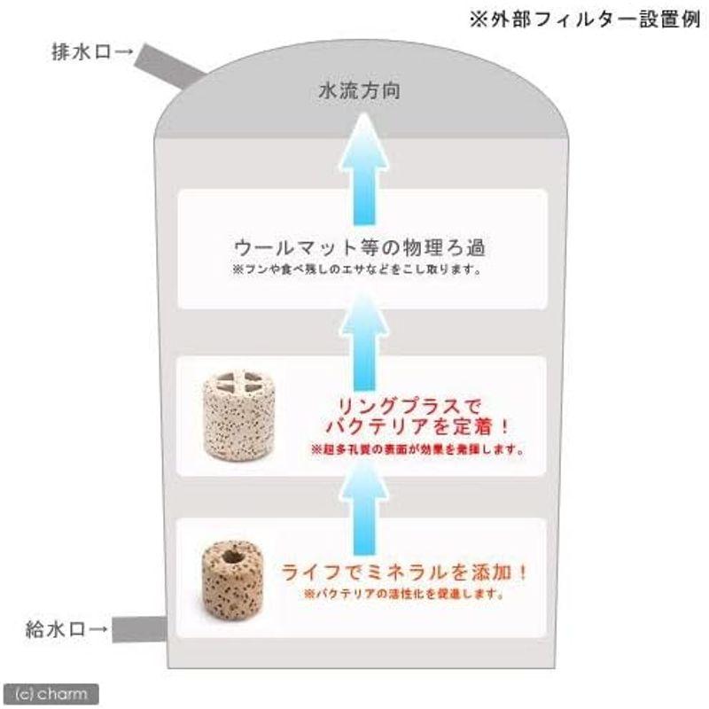 超濾過セット ライフ ５Ｌ ＋リングプラス ５Ｌ 沖縄別途送料 ５Ｌ ライフ ＋リングプラス 沖縄別途送料 　