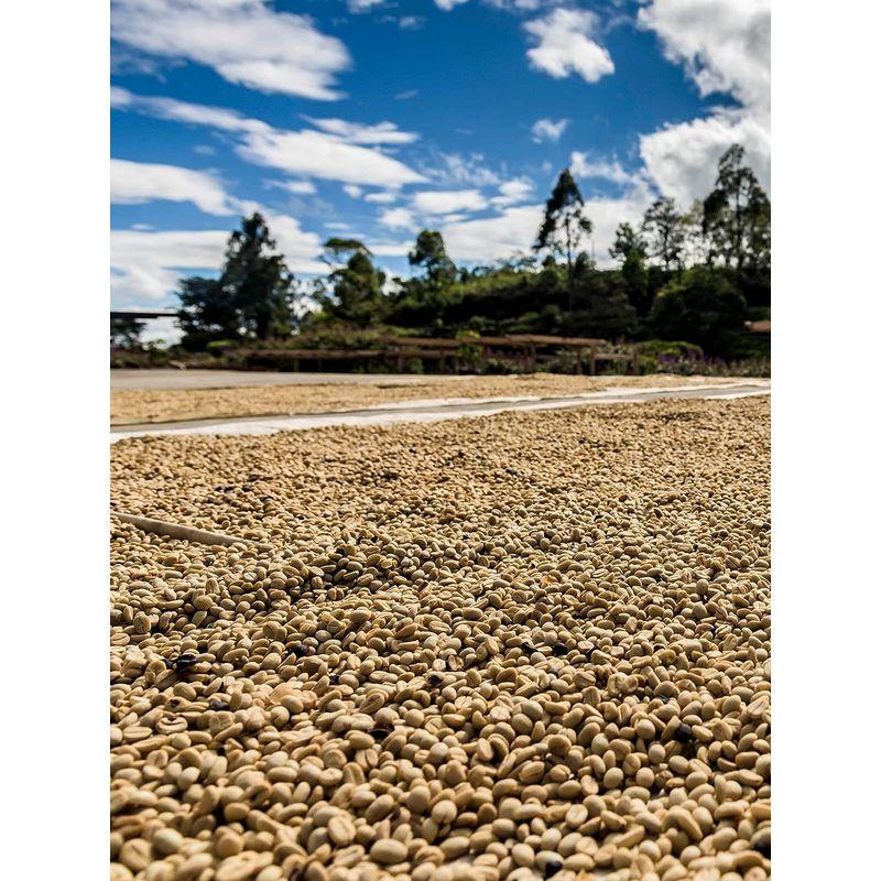 サザコーヒー 1杯取りコーヒー サザカップオン 将軍珈琲 12g×１００枚セット 業務用 大容量 オフィスに最適 深煎り ドリップバッグ 1杯取りコーヒー サザカップオン 将軍珈琲 12g×１００枚セット 業務用 大容量 オフィスに最適 深煎り ドリップバッグ