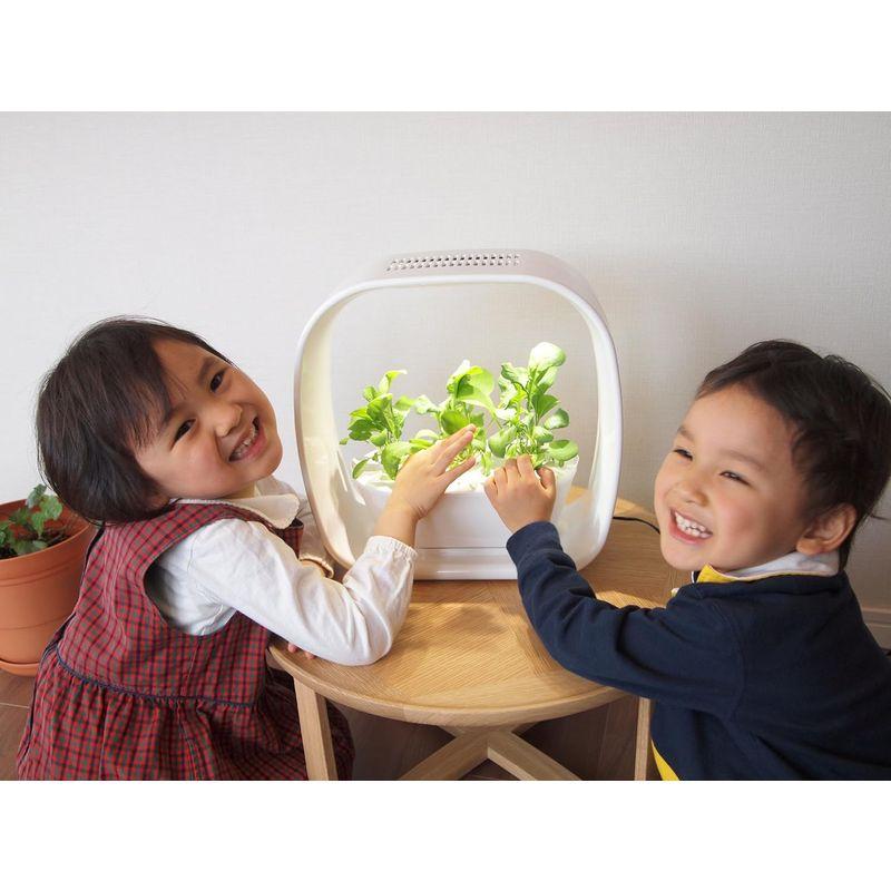 お買い得！ LED照明付水耕栽培キット VEGUNI(ベジユニ) 日本製 W336×D150×H336mm 【1979046908】(10202円)