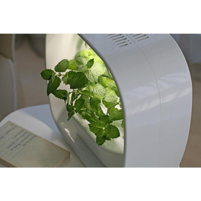 お買い得！ LED照明付水耕栽培キット VEGUNI(ベジユニ) 日本製 W336×D150×H336mm 【1979046908】(10202円)