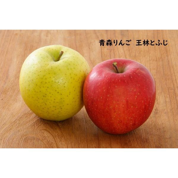 りんごオーダー 76519-78-