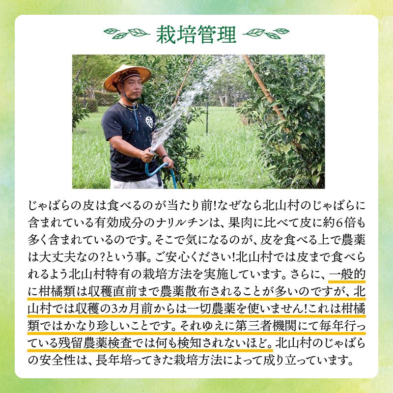 じゃばら 果汁 360ml 北山村 原産 保存料 酸化防止剤 無添加 ジャバラ 邪払 JABARA 100% ストレート 北山村公式ショップ じゃばら村 | じゃばら村 | 10