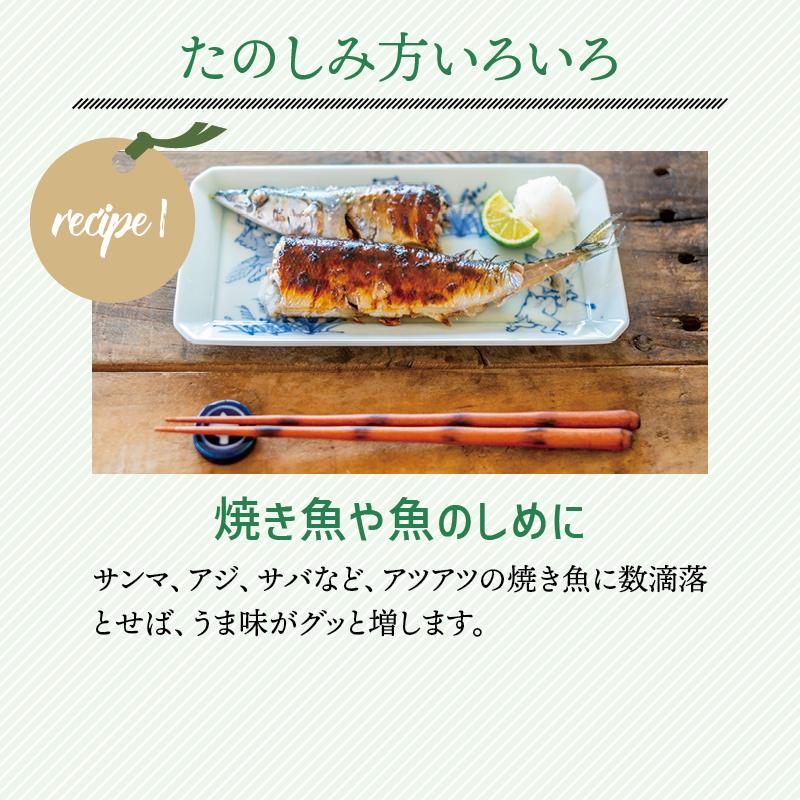 じゃばら 果汁 360ml 北山村 原産 保存料 酸化防止剤 無添加 ジャバラ 邪払 JABARA 100% ストレート 北山村公式ショップ じゃばら村 | じゃばら村 | 05