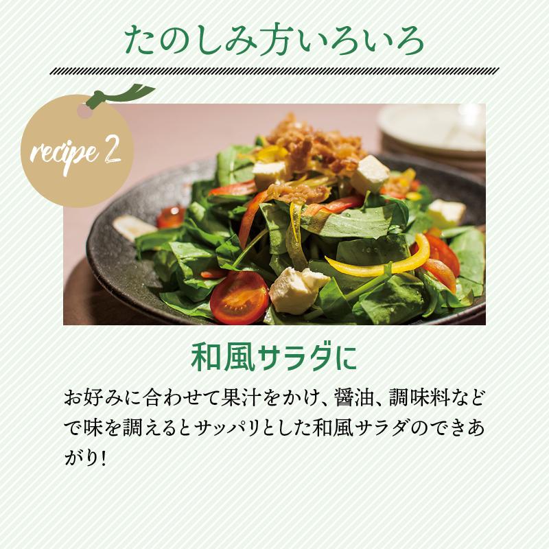 じゃばら 果汁 360ml 北山村 原産 保存料 酸化防止剤 無添加 ジャバラ 邪払 JABARA 100% ストレート 北山村公式ショップ じゃばら村 | じゃばら村 | 06