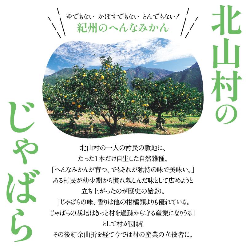 じゃばら 香る 中華 ドレッシング 200ml 3本 ジャバラ 邪払 JABARA ポンズ ポン酢 北山村公式ショップ じゃばら村 | じゃばら村 | 13