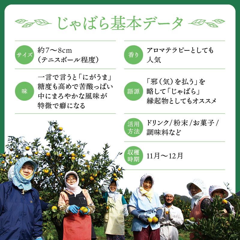 じゃばら 香る 中華 ドレッシング 200ml 3本 ジャバラ 邪払 JABARA ポンズ ポン酢 北山村公式ショップ じゃばら村 | じゃばら村 | 15