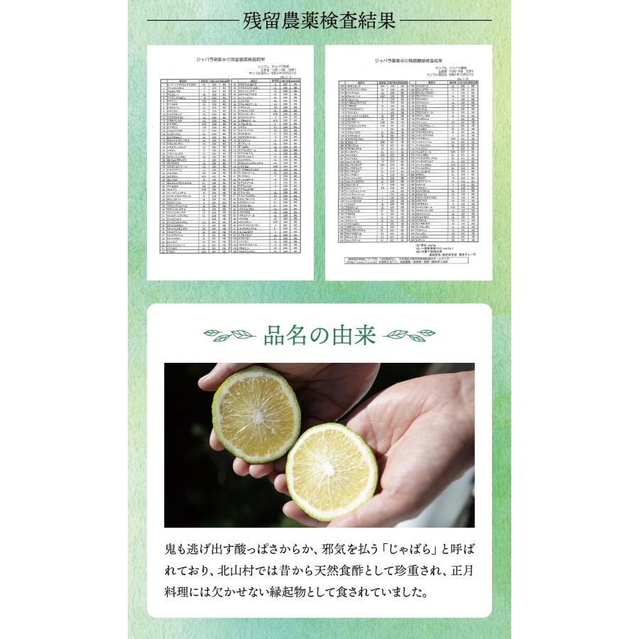 じゃばらパウダー100g ジャバラ 邪払 柑橘 サプリ 健康 ナリルチン