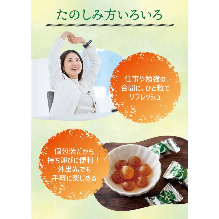 飴ランプ+シルパット+本 今季分完売。次回入荷26年11月頃予定】じゃばら NRT-キャンディー 75g