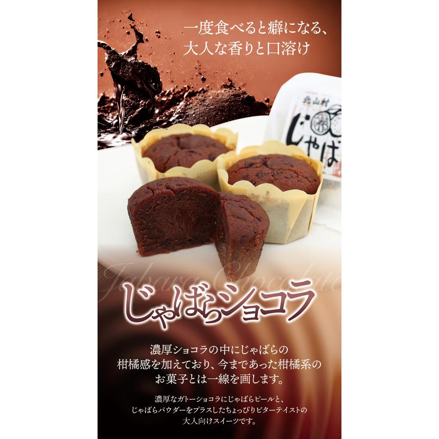 濃厚じゃばらショコラ （48g×8個） じゃばら ジャバラ 邪払 チョコレート 生チョコ ギフト 父の日 じゃばらの産地 北山村公式ショップ ナリルチン | ブランド登録なし | 01