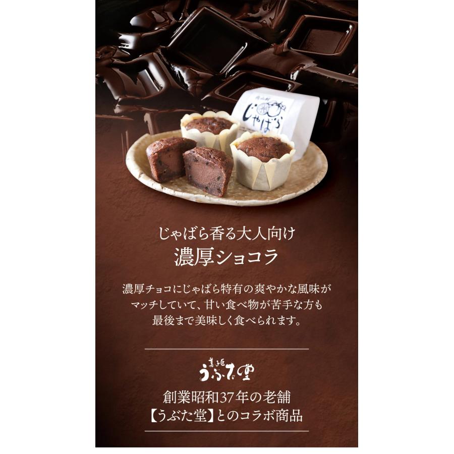 濃厚じゃばらショコラ （48g×8個） じゃばら ジャバラ 邪払 チョコレート 生チョコ ギフト 父の日 じゃばらの産地 北山村公式ショップ ナリルチン | ブランド登録なし | 02