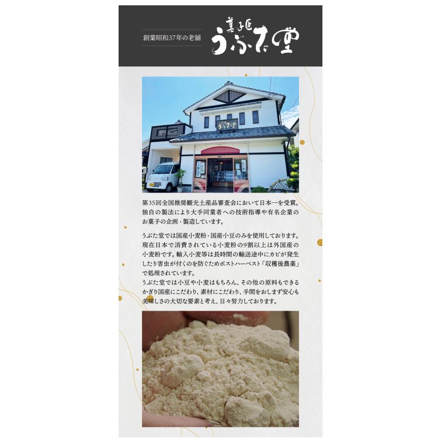 濃厚じゃばらショコラ （48g×8個） じゃばら ジャバラ 邪払 チョコレート 生チョコ ギフト 父の日 じゃばらの産地 北山村公式ショップ ナリルチン | ブランド登録なし | 03