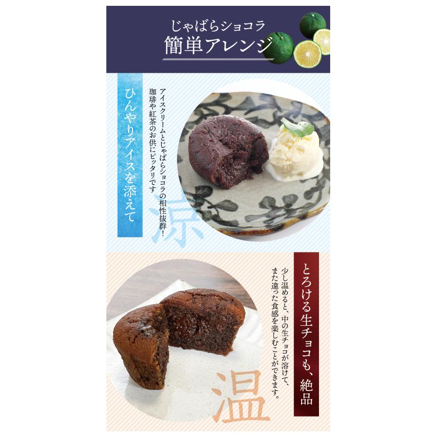 濃厚じゃばらショコラ （48g×8個） じゃばら ジャバラ 邪払 チョコレート 生チョコ ギフト 父の日 じゃばらの産地 北山村公式ショップ ナリルチン | ブランド登録なし | 04