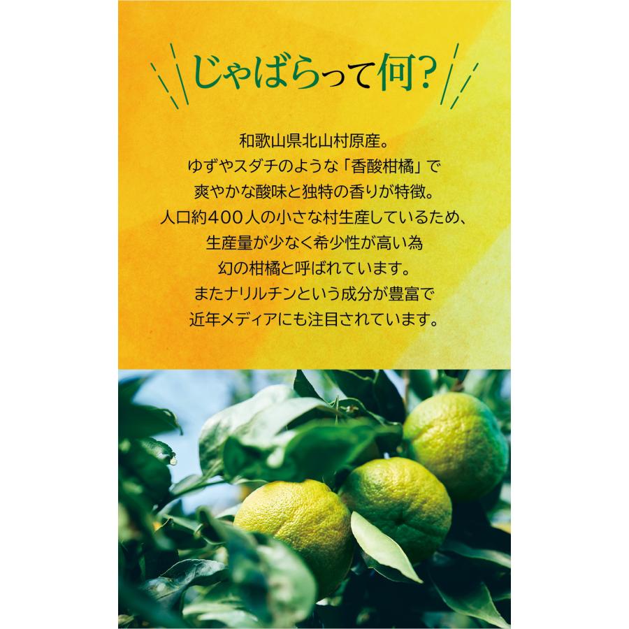 じゃばらレアチーズケーキ3個セット 送料無料 | じゃばら村 | 03