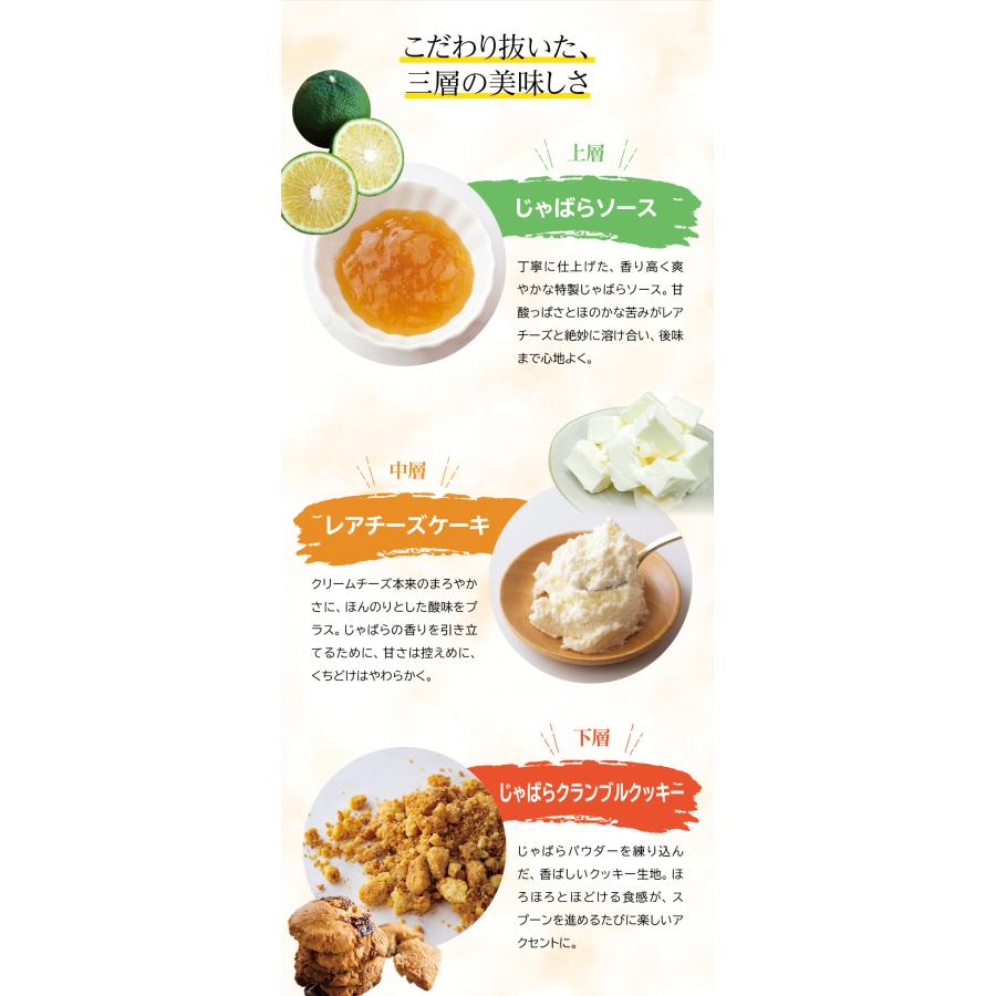 じゃばらレアチーズケーキ3個セット 送料無料 | じゃばら村 | 05