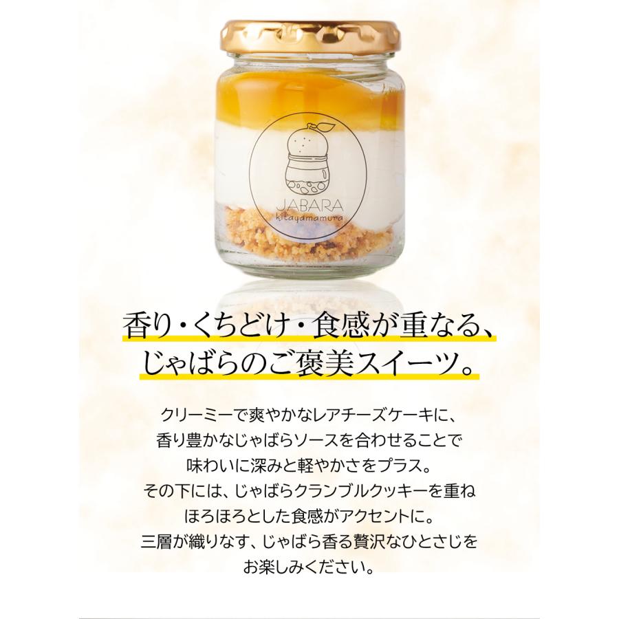 じゃばらレアチーズケーキ6個セット 送料無料 | じゃばら村 | 01