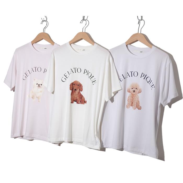 ジェラートピケ gelato pique ジェラピケ レディース tシャツ 半袖 薄手 ルームウェア パジャマ PWCT241257/room｜jack-o-lantern｜05