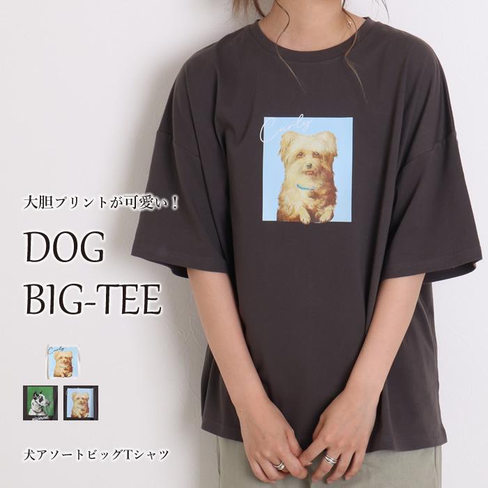 Tシャツ レディース 半袖 プリント オーバーサイズ ビッグシルエット 綿 トップス 韓国 犬 ドッグ アニマル 93 oa ジャッコランタンjackolantern 通販 Yahoo ショッピング