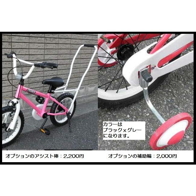 1週間前後でお届け!!】【マットブラック】fivecard-bike 14 1週間前後でお届け!!】【マットブラック】fivecard-bike 14