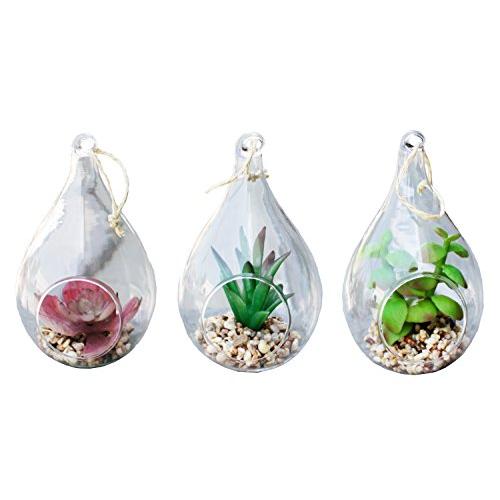 【24時間以内発送】 Natures Mark 3パック 高さ6インチ フェイク多肉植物 ティアドロップ吊り下げガラス 【L2001159307】(10318円)