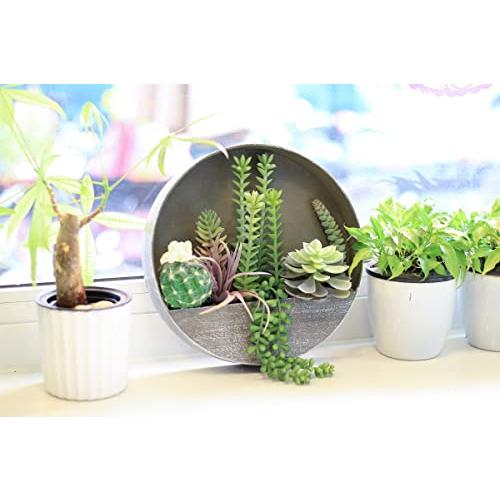 多肉植物 人工多肉植物 人工多肉植物 丸い木製鉢 リアルな偽植物 壁装飾 自宅 オフィス リビングルーム 寝室用 多肉植物 人工多肉植物
