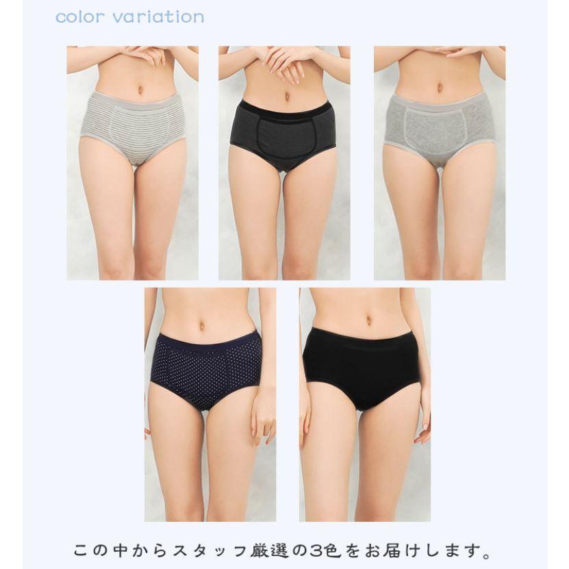 ストレッチナイロン ショートパンツ (バーチカルロゴ) [全6色