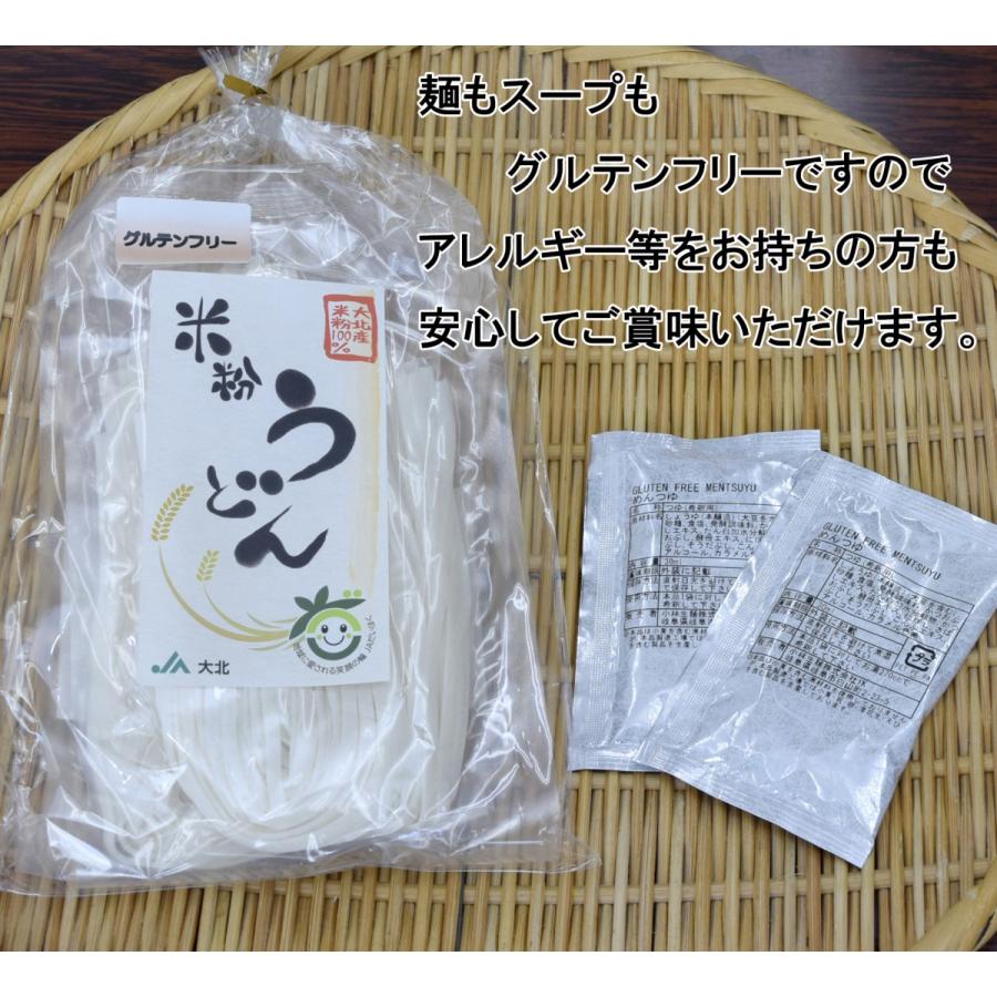 ラッピング ※ グルテンフリー米粉うどん グルテンフリーつゆ付 2食入り wantannas.go.id ラッピング ※ グルテンフリー米粉うどん グルテンフリーつゆ付 2食入り wantannas.go.id