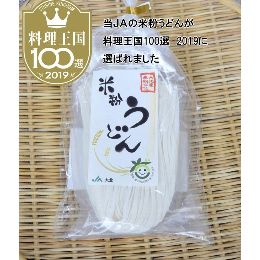 ラッピング ※ グルテンフリー米粉うどん グルテンフリーつゆ付 2食入り wantannas.go.id ラッピング ※ グルテンフリー米粉うどん グルテンフリーつゆ付 2食入り wantannas.go.id