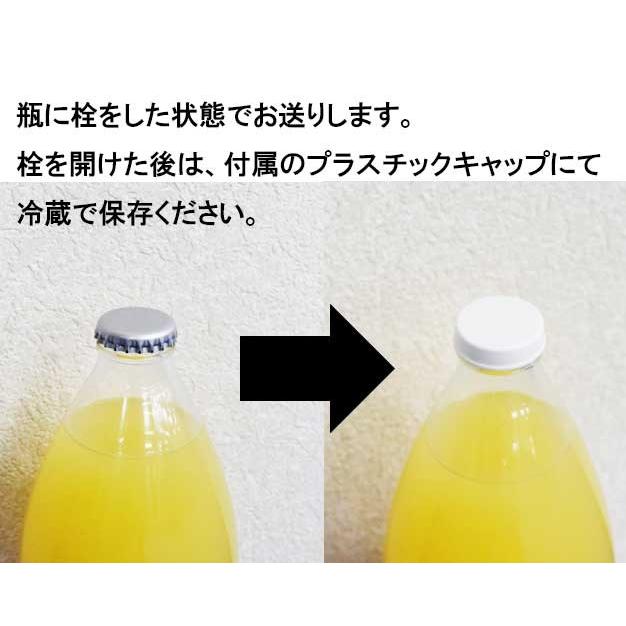 大北産サンふじ100%使用 リンゴジュース 1000ml × 6本 果汁100% ストレートリンゴジュース 長野県 :400-yahoo-ringoj- 6:JA大北ネットショップ - 通販 - Yahoo!ショッピング 大北産サンふじ100%使用 リンゴジュース 1000ml × 6本 果汁100% ストレートリンゴジュース 長野県 :400-yahoo-ringoj- 6:JA大北ネットショップ - 通販 - Yahoo!ショッピング