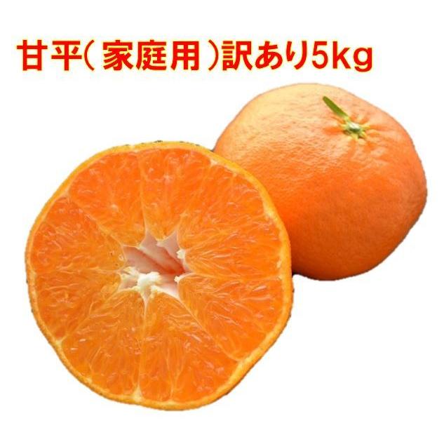 甘平（家庭用）訳あり5kg JAえひめ南 産地より直送【2026年分販売終了