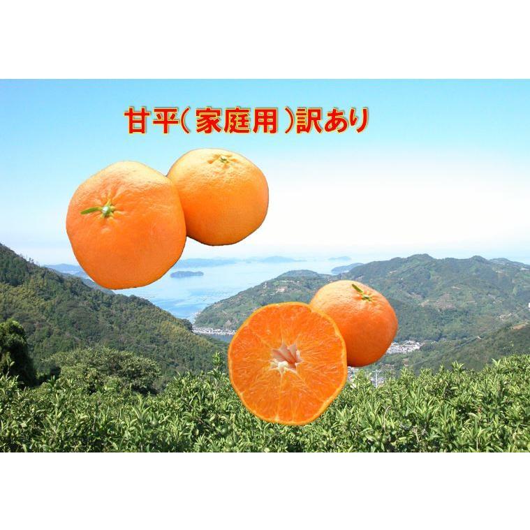 甘平（家庭用）訳あり5kg JAえひめ南 産地より直送【2026年分販売終了